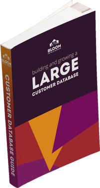 large-customer-database-book